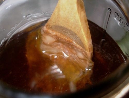 mother-scoby-getting-bigger.jpg
