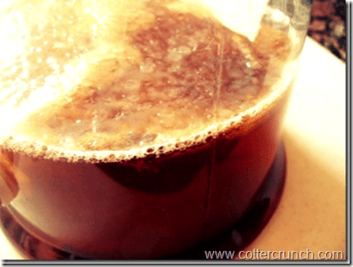 scoby