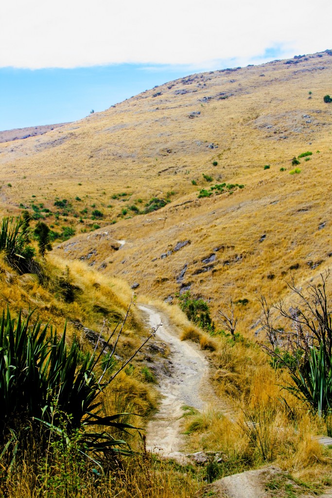 port hills trails, NZ