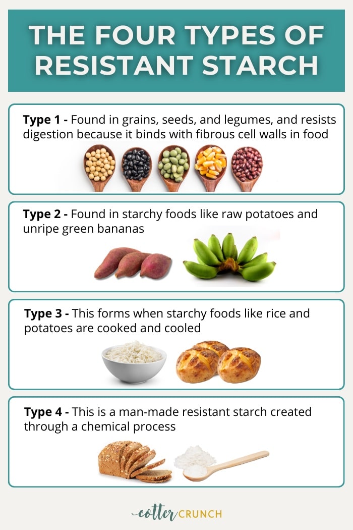 graphic of the different types of resistant starches Type one grains Type two potatoes and bananas types 3 starches that are cooked and cooles type four chemical process