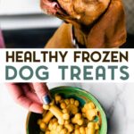 Photos of Easy Homemade Frozen Dog Treats with a text overlay for pinterest.