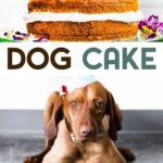 Two photos of healthy grain-free dog cake with a text overlay for pinterest.