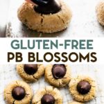 Two photos of Gluten-Free Peanut Butter Blossoms with a text overlay for pinterest.