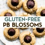 A plate of Gluten-Free Peanut Butter Blossoms with a text overlay for pinterest.